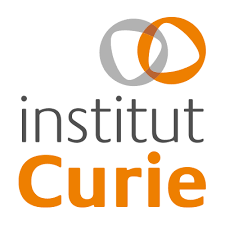 Logo Institut Curie